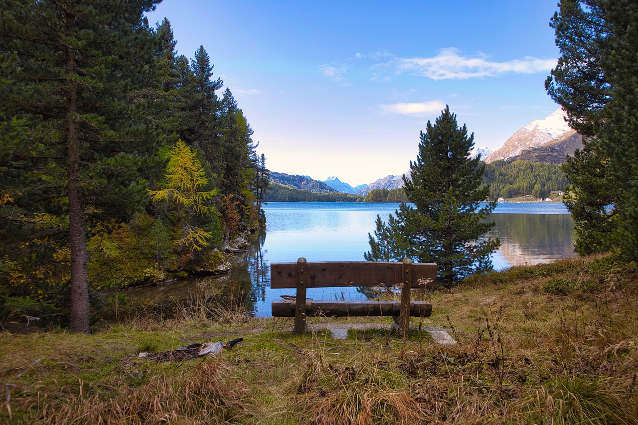 향로산 자영휴양림