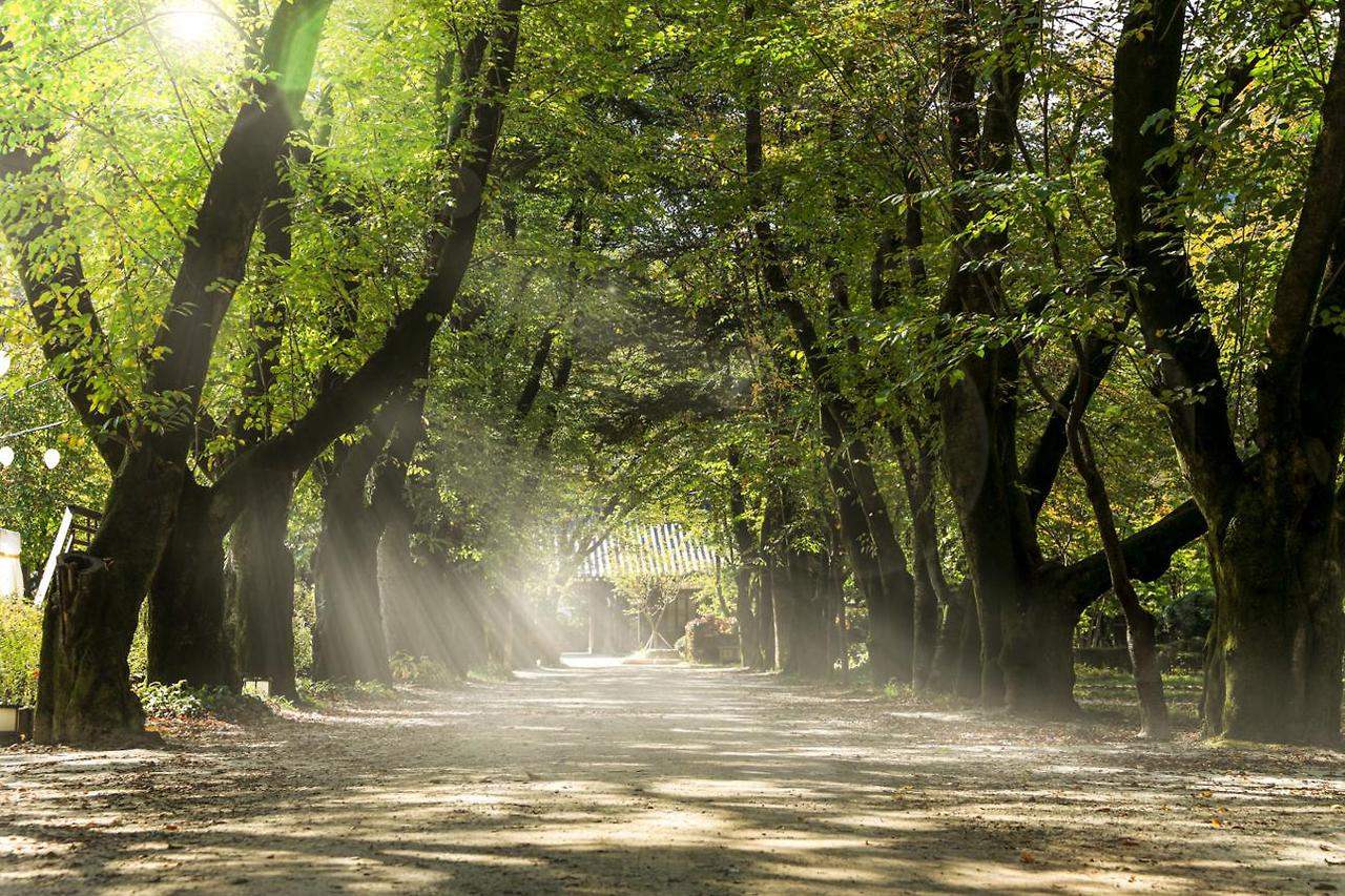 화담숲 온라인으로 3분만에 예약하기