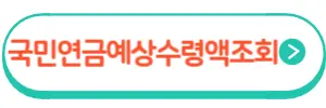 국민연금 예상수령액 조회