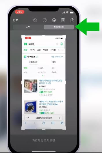 전체 페이지 선택