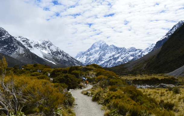 뉴질랜드 워킹홀리데이 완벽 가이드: 비자부터 정착까지