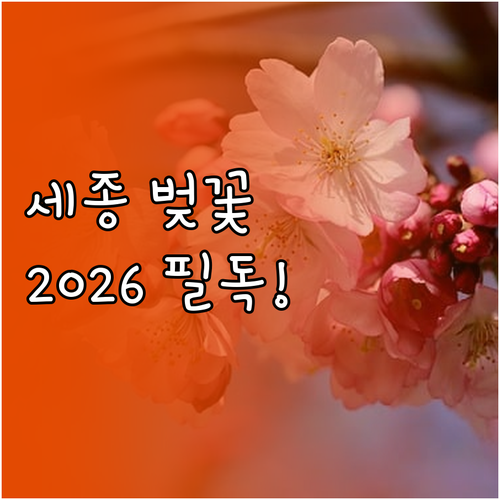 세종시 벚꽃 만개 시점 및 2026년..