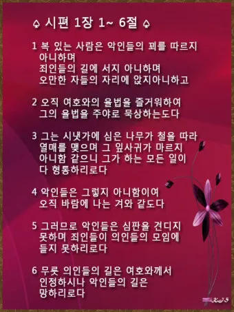 시편 62장 1절 읽기 - 나의 영혼이 잠잠히 하나님만 바람이여 나의 구원이 그에게서 나오는도다_10