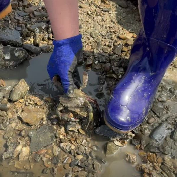 십리포갯벌체험장