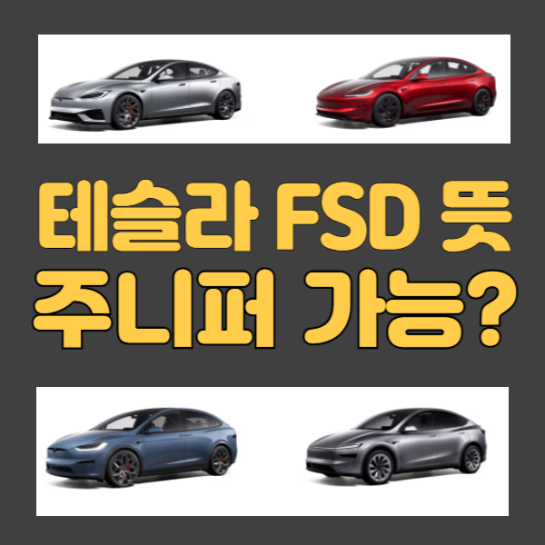 fsd 뜻