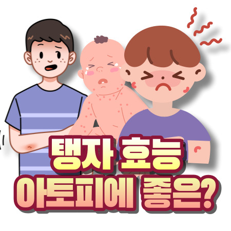 탱자 효능