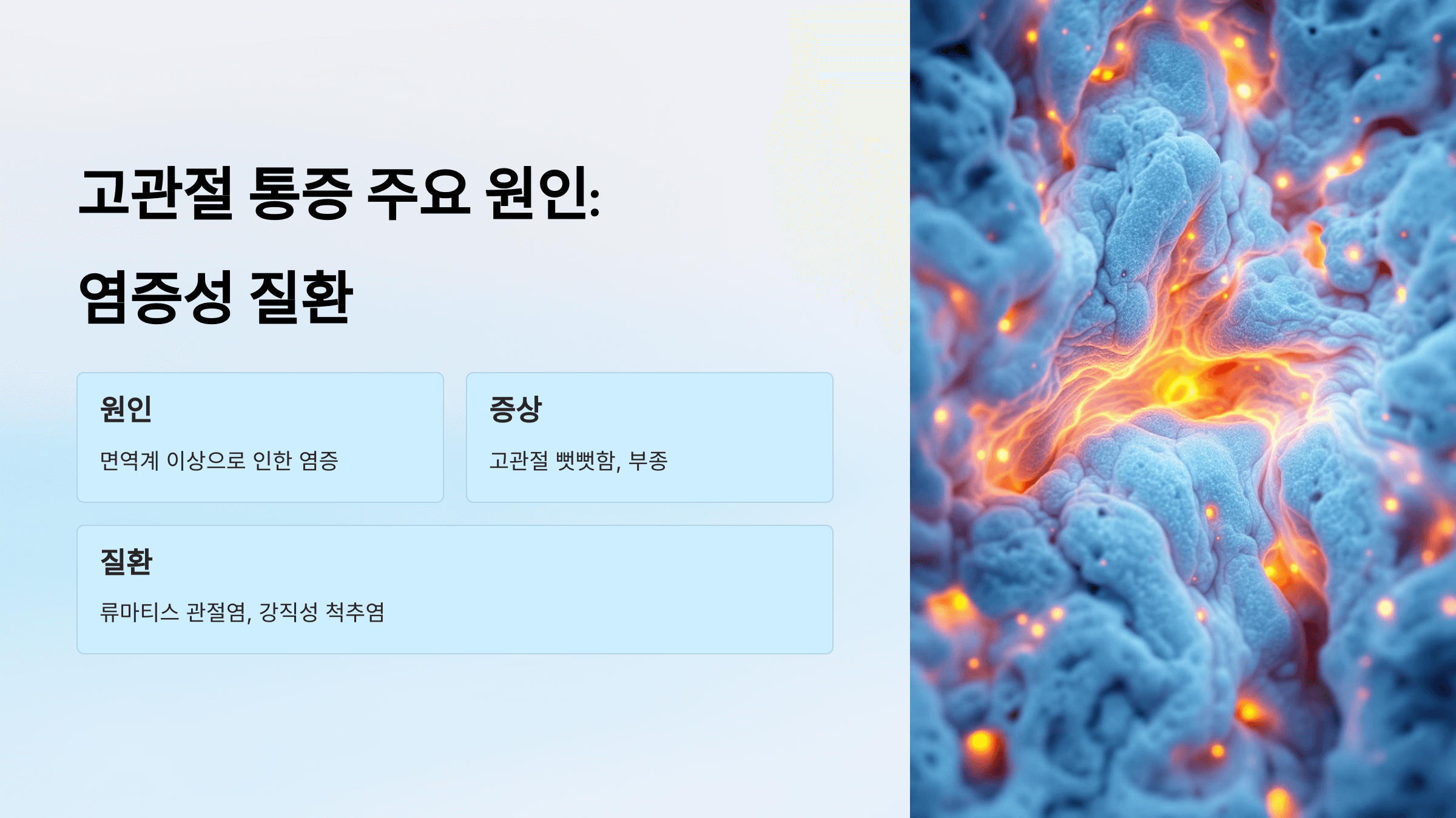 고관절 사진입니다.