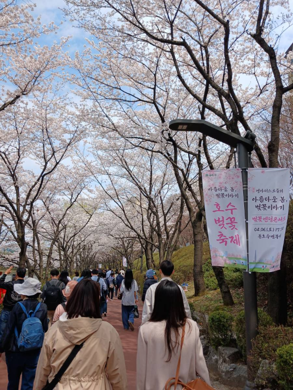 호수를 따라 걷는 상춘객들