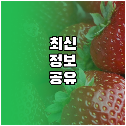직장인 도시락 간편 메뉴 성공 비결 ..