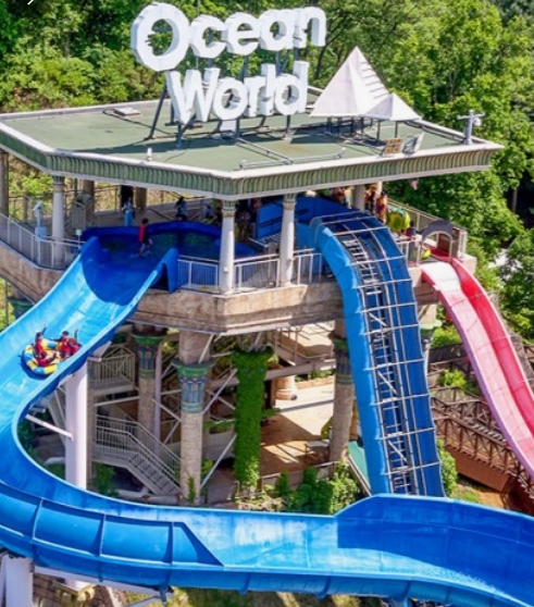 '여름휴가' 오션월드 운영시간