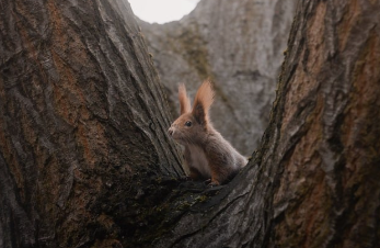 경기도 청년기본소득 2025년 신청부터 지급까지 23