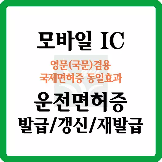 모바일IC 운전면허증/영문 운전면허증