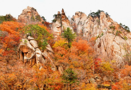 2024년 단풍절정시기