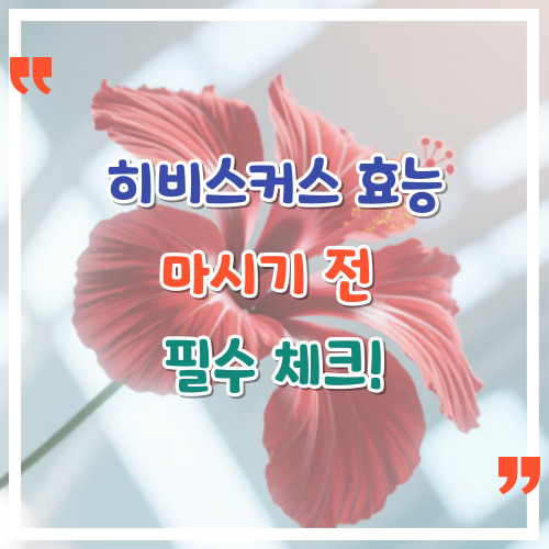 히비스커스의효능-마시기-전-필수-체크