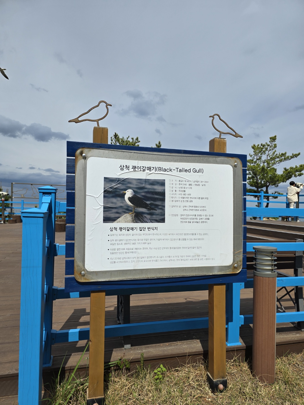 괭이갈매기 서식지안내표지판