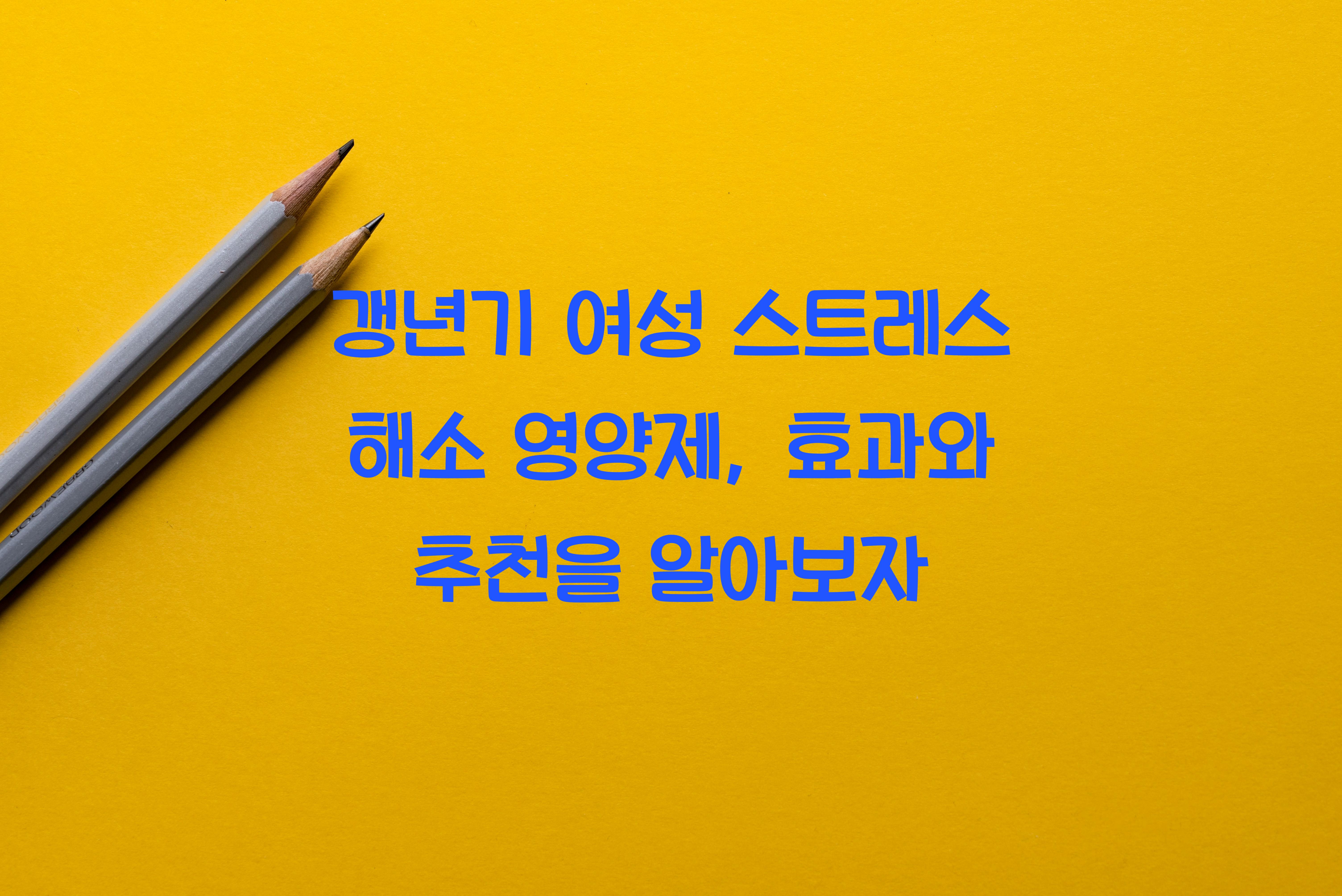 갱년기 여성 스트레스 해소 영양제