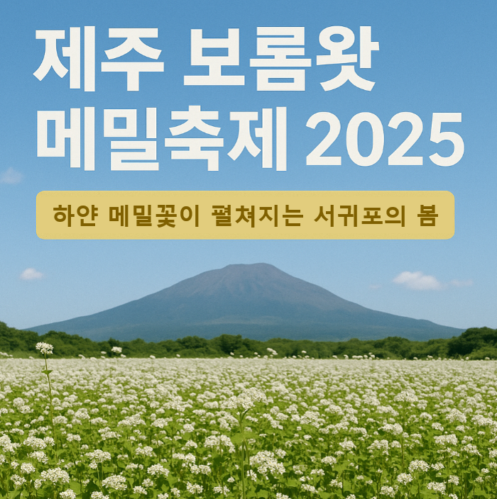 제주 보롬왓 메밀축제