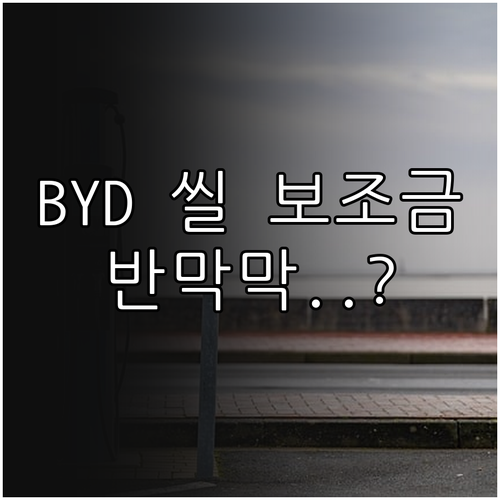 BYD 씰 Dynamic AWD 20..