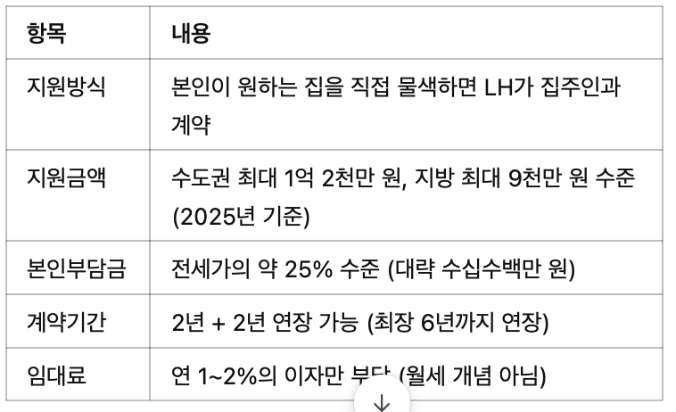 📋 지원 내용 한눈에 정리