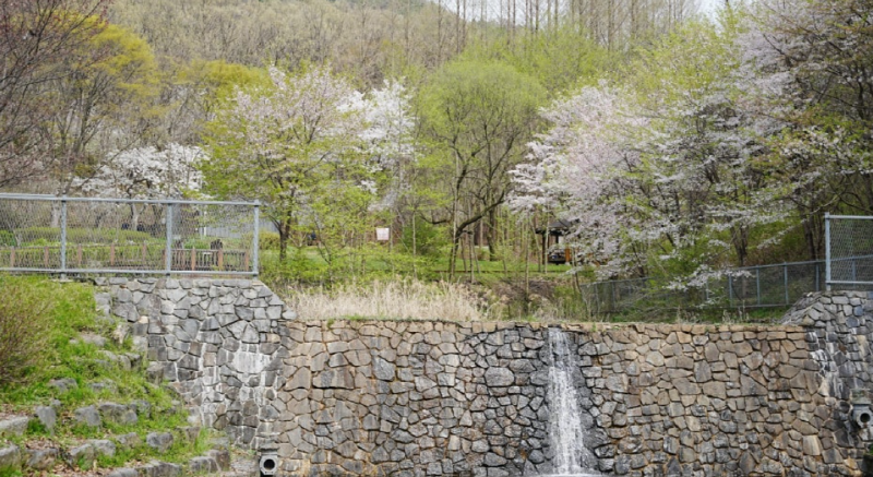 계족산 황토길