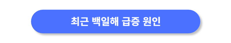 버튼