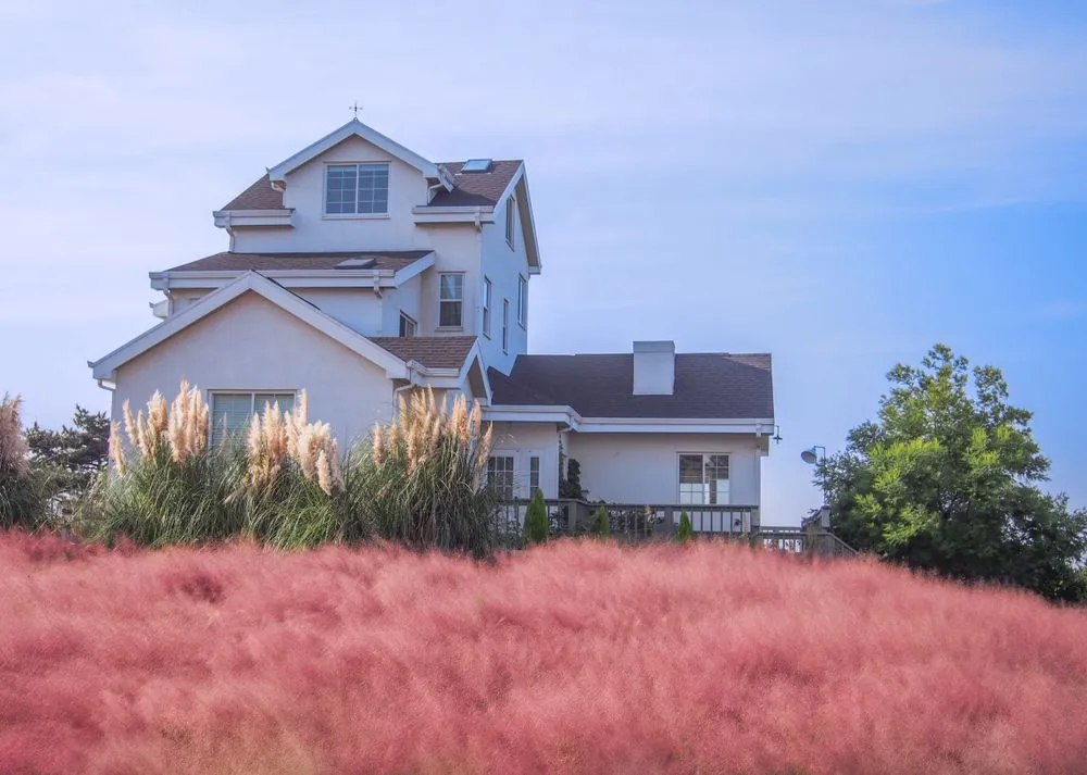 평택 바람새마을 핑크뮬리 가을 여행 인생샷 명소 추천으로 안내_2
