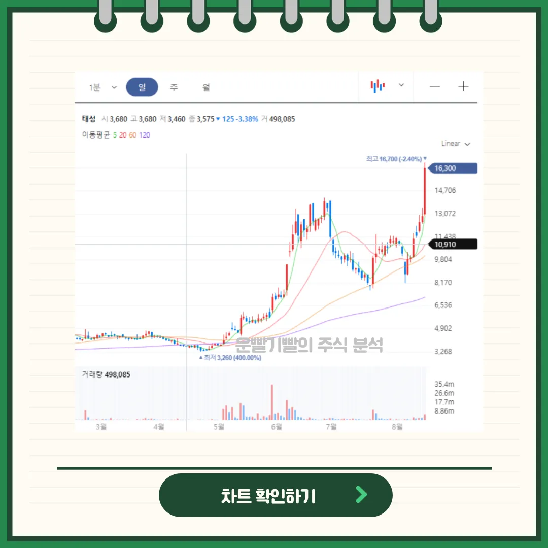 태성 차트분석