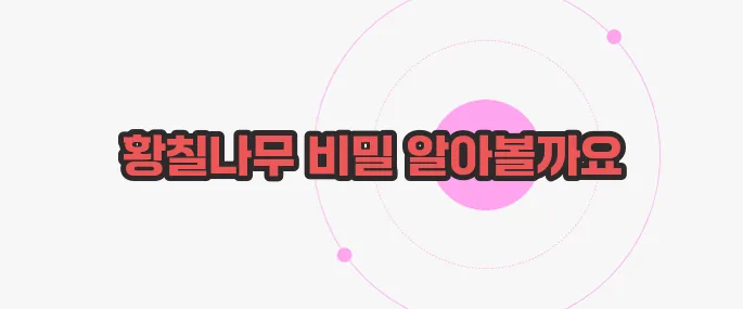 황칠나무 효능 가볍게 살펴볼까요