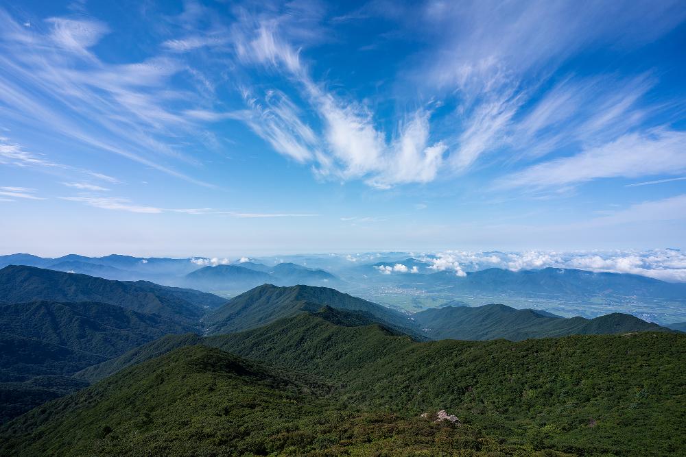 구례-가볼만한곳-TOP10