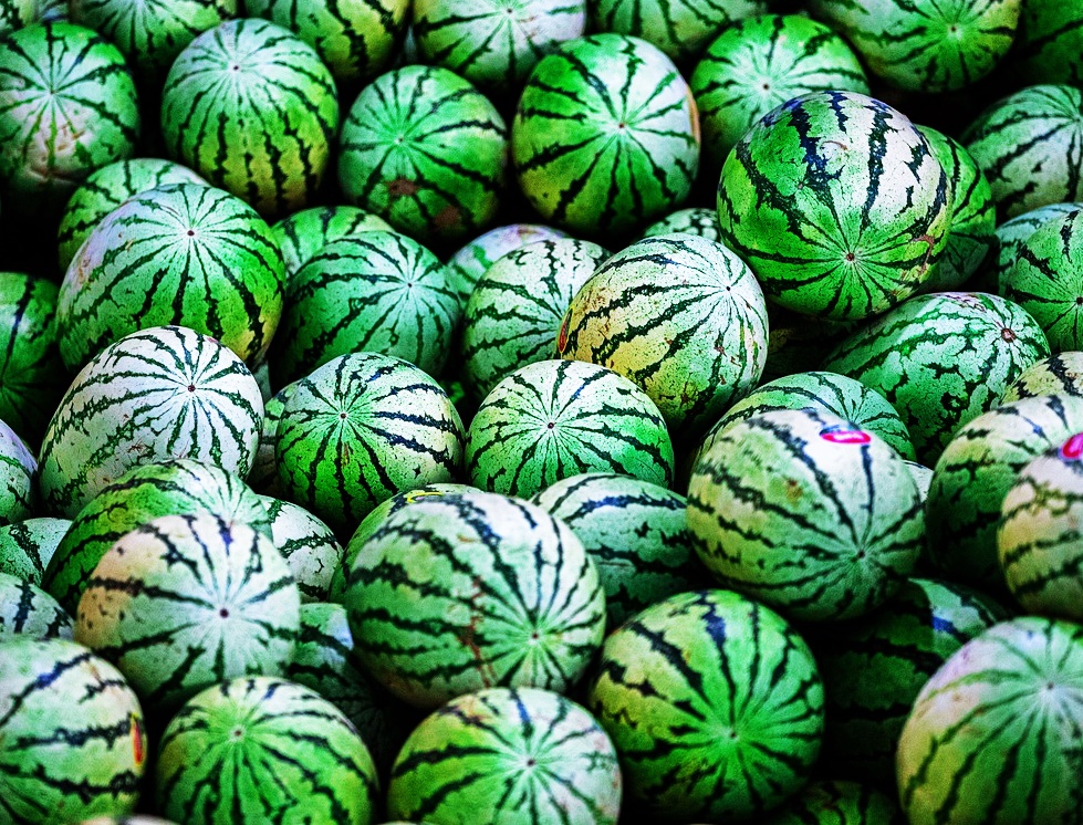통수박