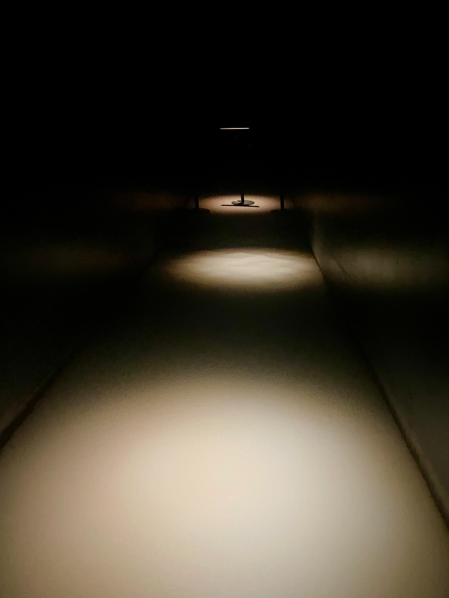 일본 도쿄 팀랩 플래닛 여행-사람과 함께 춤추는 잉어가 그리는 수면 위의 드로잉