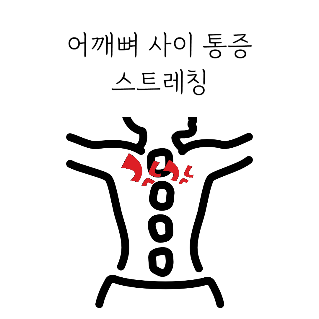 스트레칭