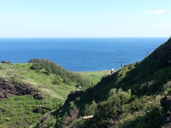 제주도 서쪽 여행지 추천