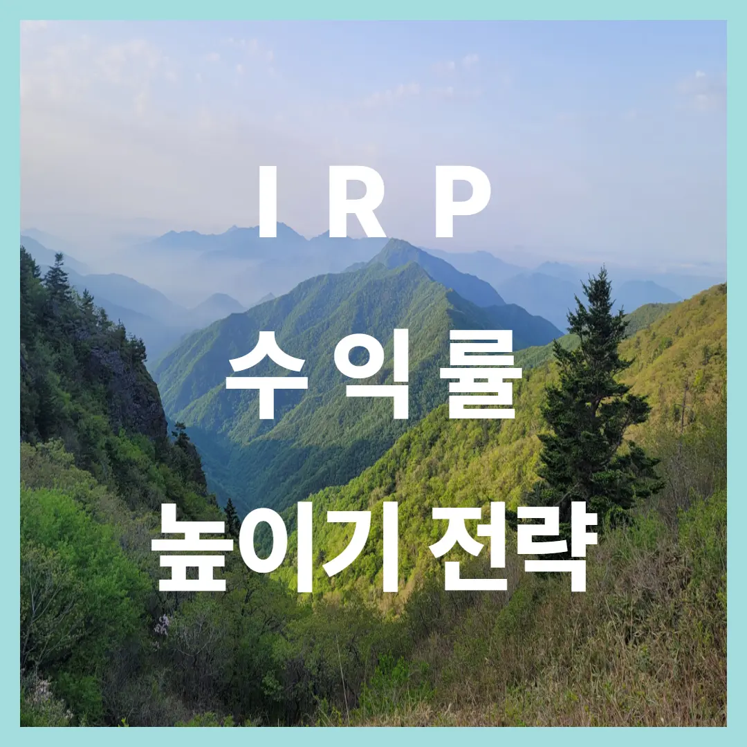 IRP 수익률, 어떻게 높일 수 있을까? (투자상품 선택 전략)