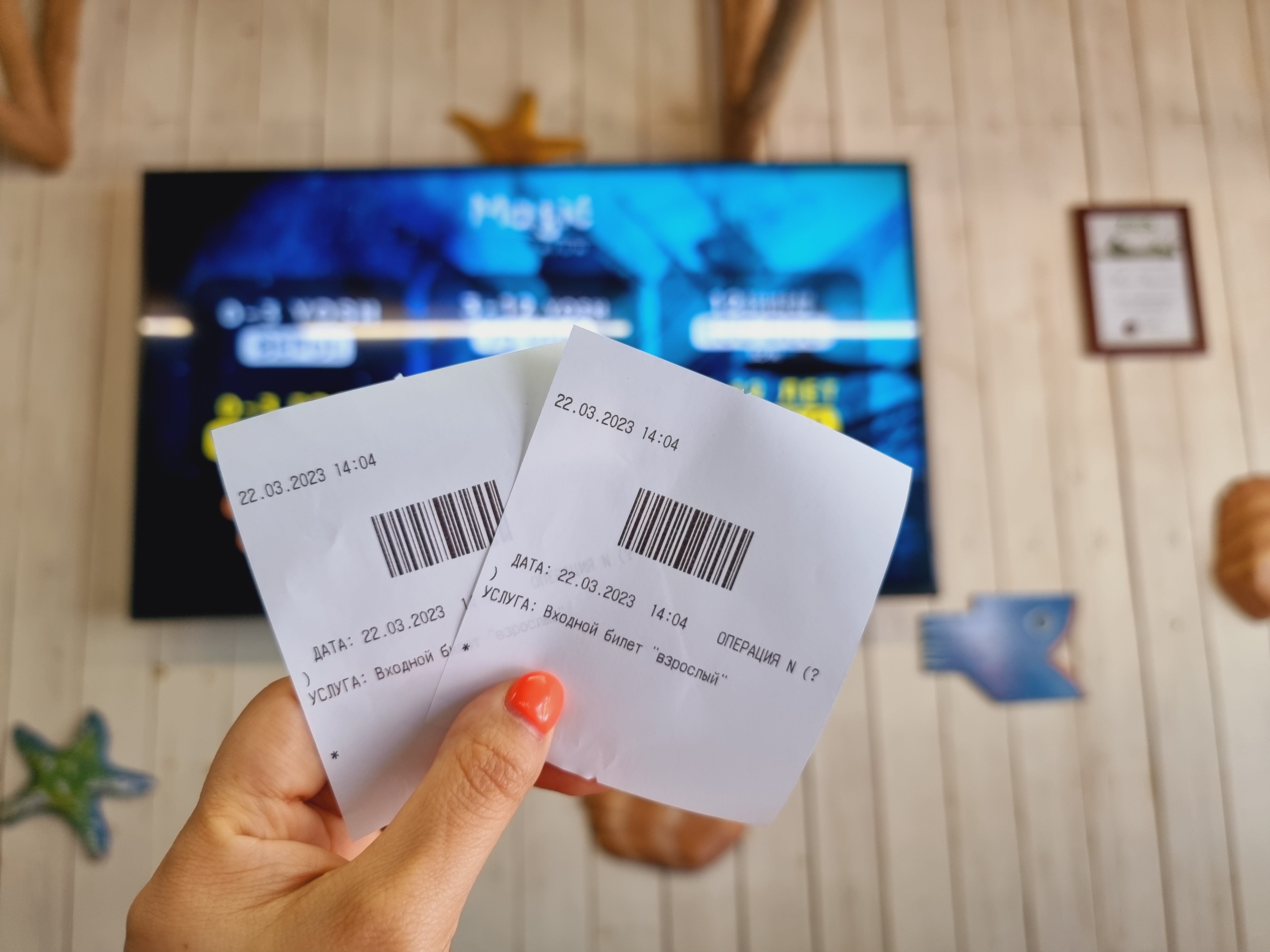 아쿠아리움 입장료