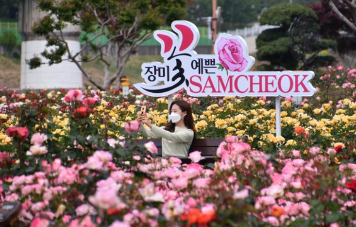 삼척장미공원(6)