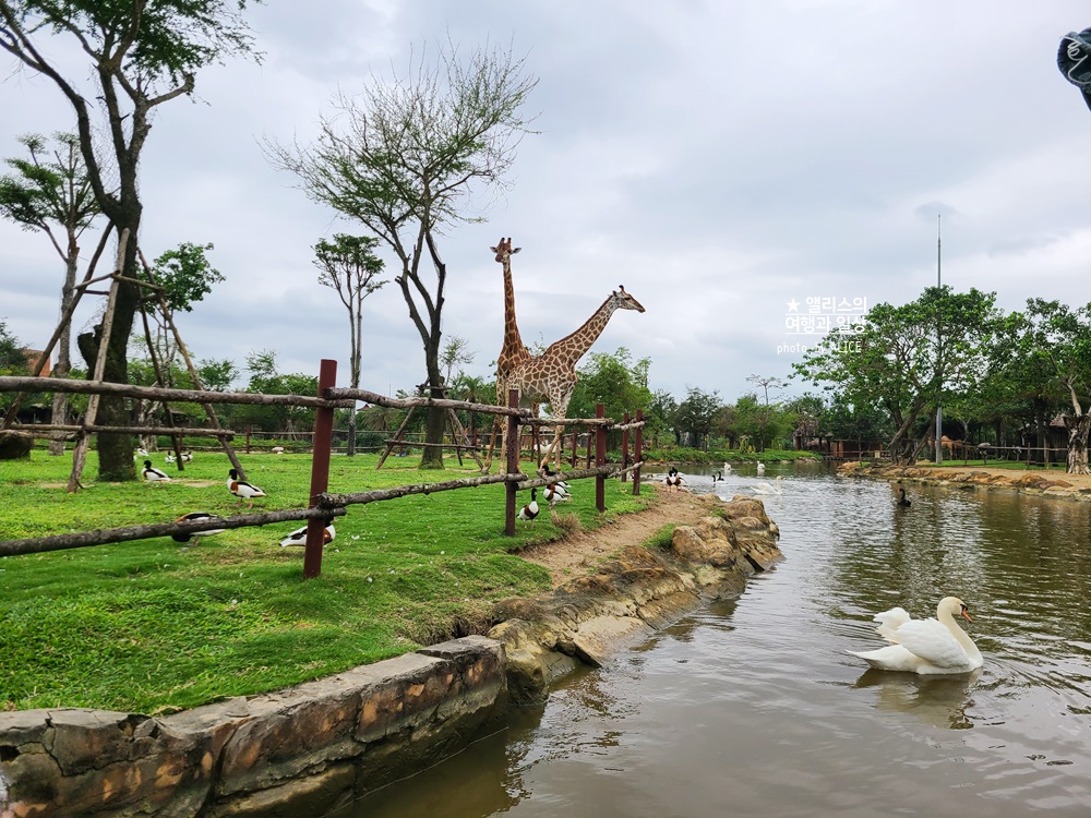 베트남 남호이안 빈원더스 사파리 후기 가격 할인입장권 예약 리버