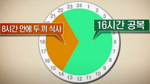 16시간 공복 후 8시간 안에 두 끼 식사를