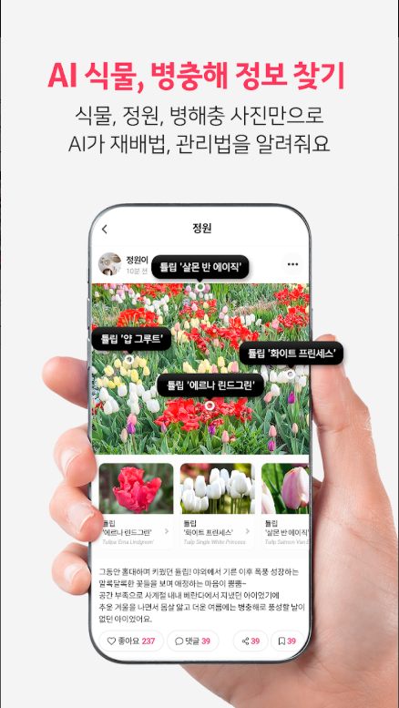 식물 이름 찾기 어플, 식물 백과사전, 식물도감