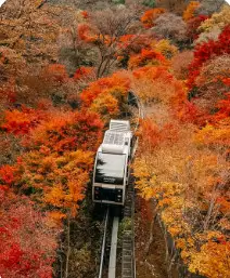 화담숲 초행자를 위한 완벽 가이드