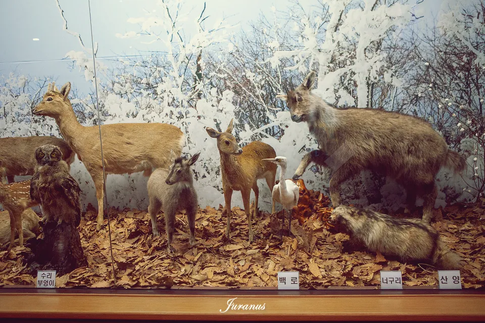 인제산촌민속박물관_04