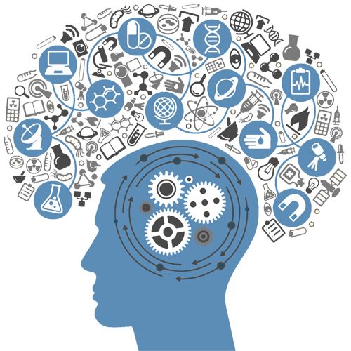 학습 장애와 균열의 가능성 : 신경가소성으로 극복하는 새로운 방법