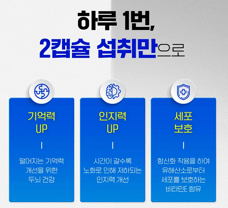 60세 이상 시니어의 기억력, 인지력 향상을 위한 뇌 건강 영양제 보령 메가브레인 포스파티딜세린 징코