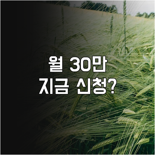 2026년 거창군 청년월세 지원 금액..