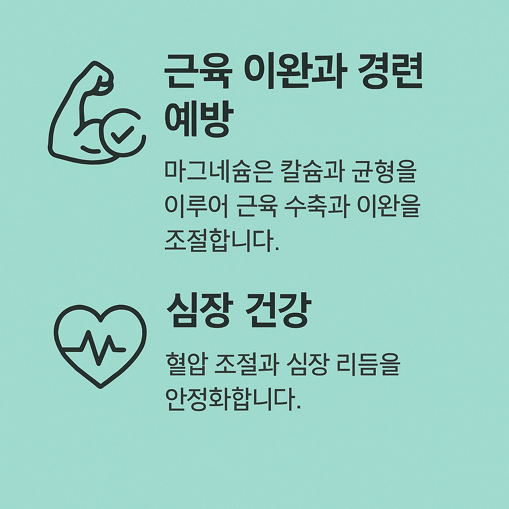 마그네슘 부족현상 증상과 해결 방법