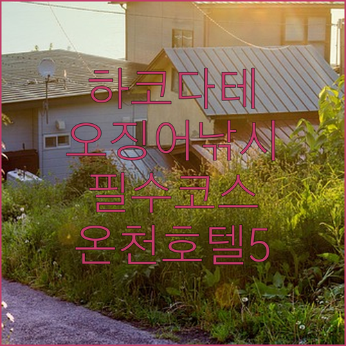 하코다테 여행 코스 아침시장 오징어 ..