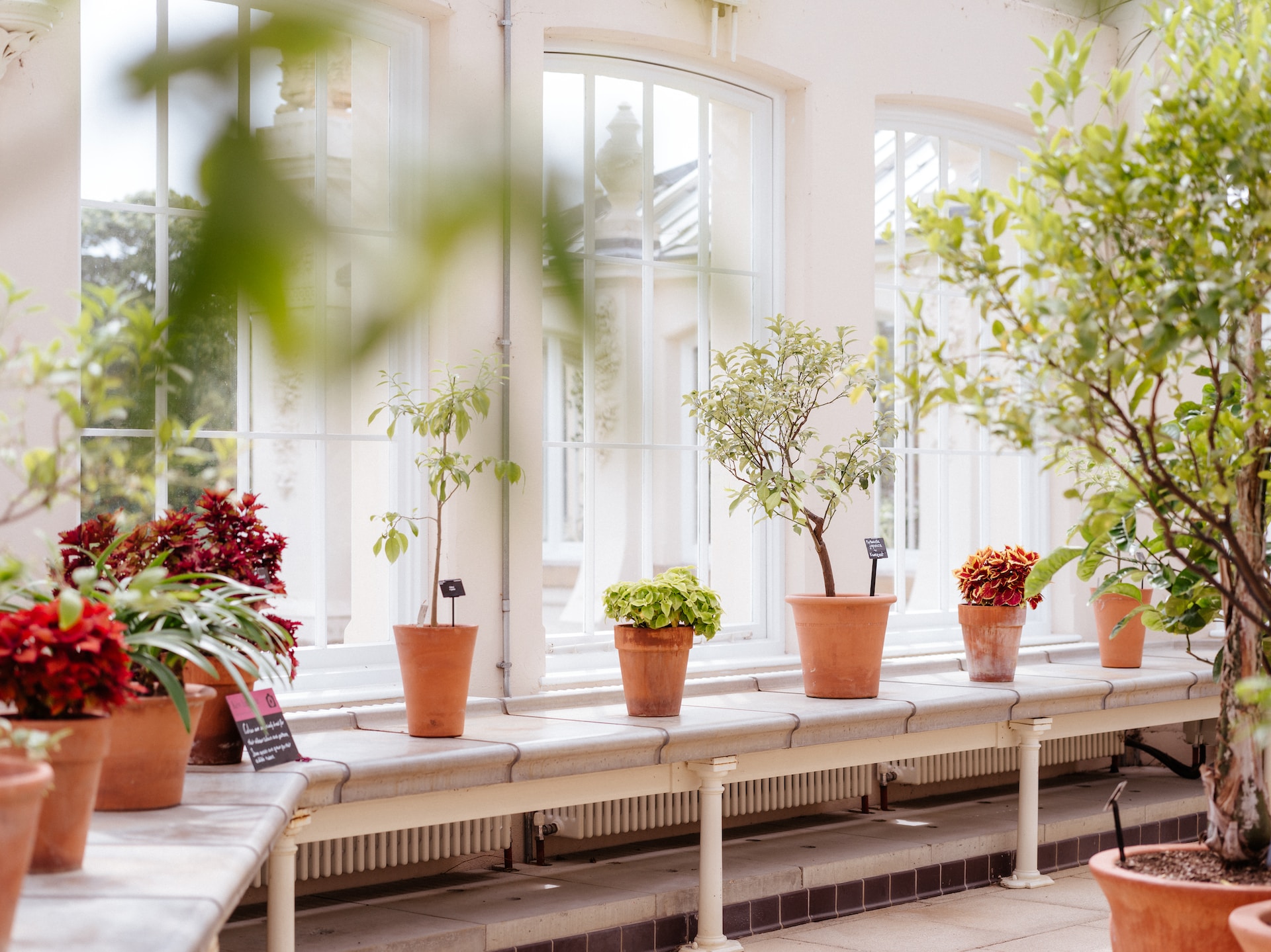교육환경을 평가하는 것은 교육 시스템 자체를 파악하고 향상시키는 중요한 단계입니다.