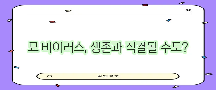 고양이 바이러스 종류 증상 예방 꼼꼼히 알아봐야 합니다!