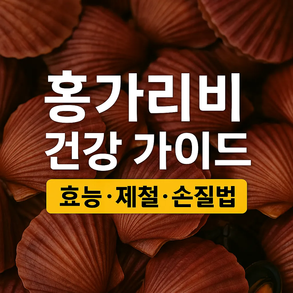홍가리비 효능과 제철, 손질법까지 한 번에 정리하는 건강가이드