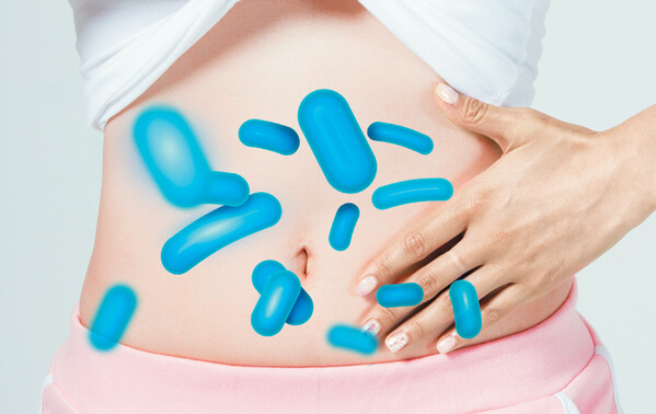 유산균 먹는시간